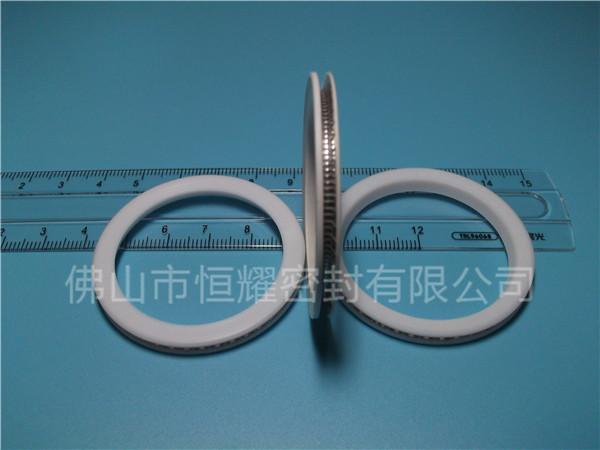 HVF、HVG端面内、外向泛塞封 (10)