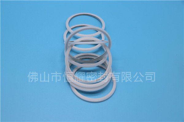 HVF、HVG端面内、外向泛塞封 (15)