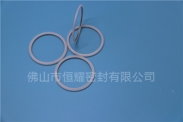 HVF、HVG端面内、外向泛塞封 (20)