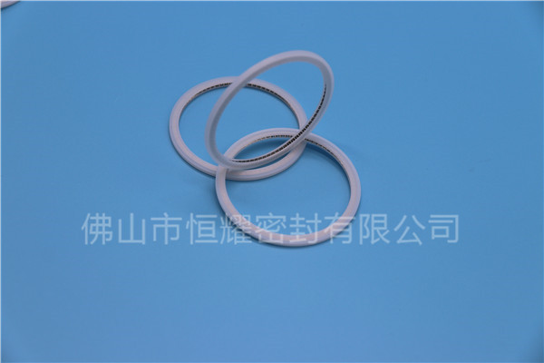 HVF、HVG端面内、外向泛塞封 (21)