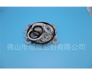 HOB、HVB孔用泛塞封 (6)