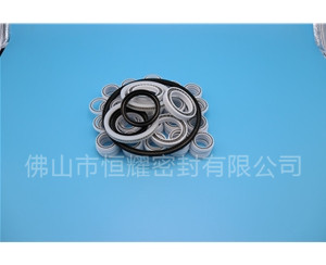 HOB、HVB孔用泛塞封 (7)