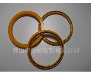 HOD、HVD旋转泛塞封 (8)