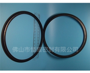 HOD、HVD旋转泛塞封 (13)