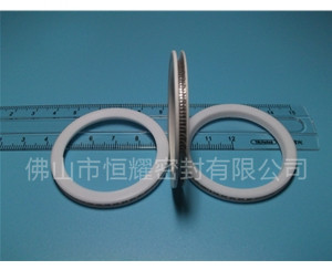 HVF、HVG端面内、外向泛塞封 (10)