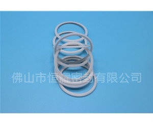 HVF、HVG端面内、外向泛塞封 (15)