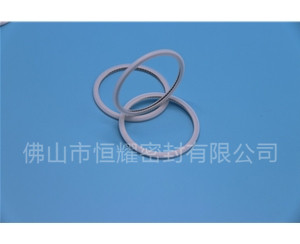 HVF、HVG端面内、外向泛塞封 (21)
